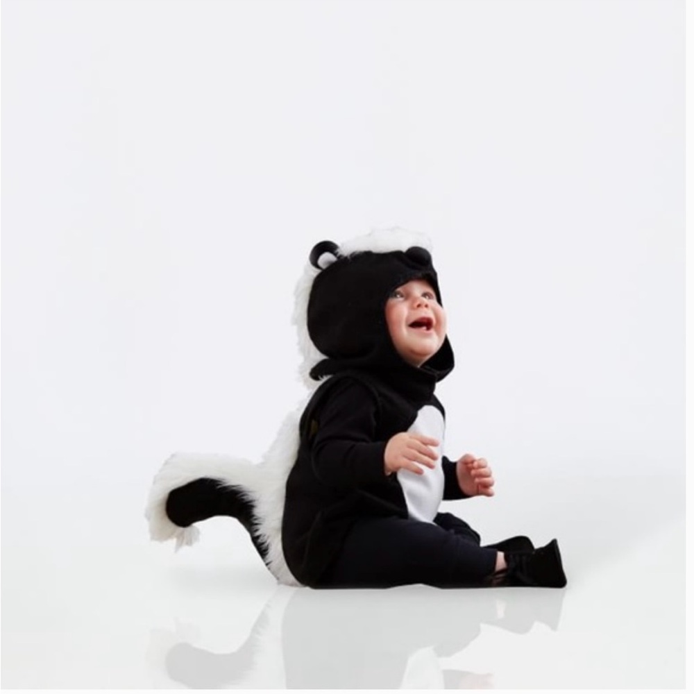 Pottery Barn Kids Adorable Skunk Costume - Black and White